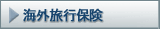 �C�O���s�ی�